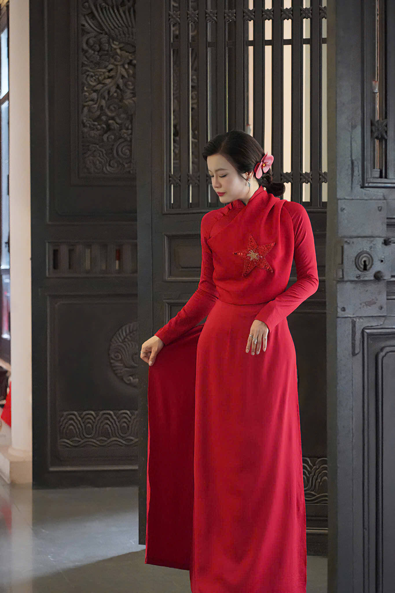 The Star of Vietnam10