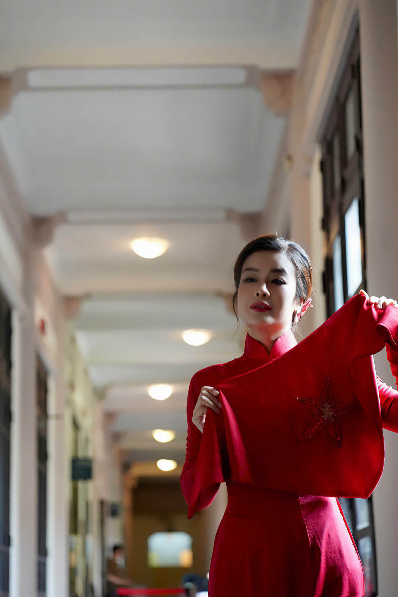 The Star of Vietnam12