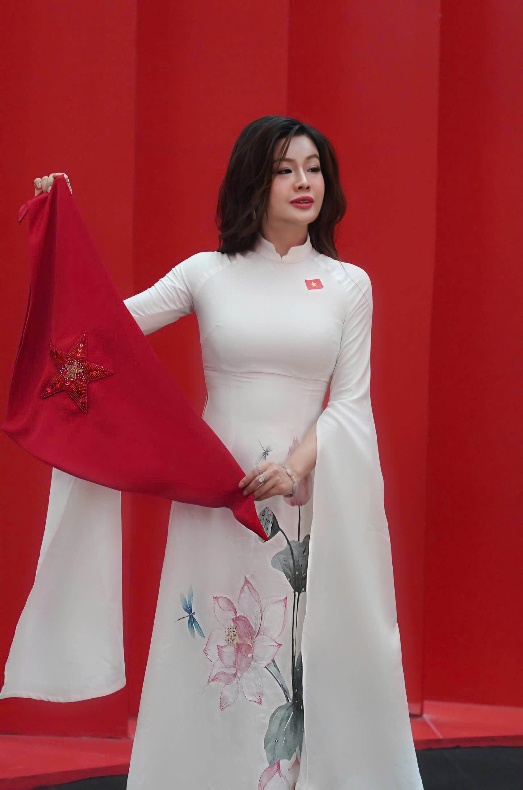 The Star of Vietnam5