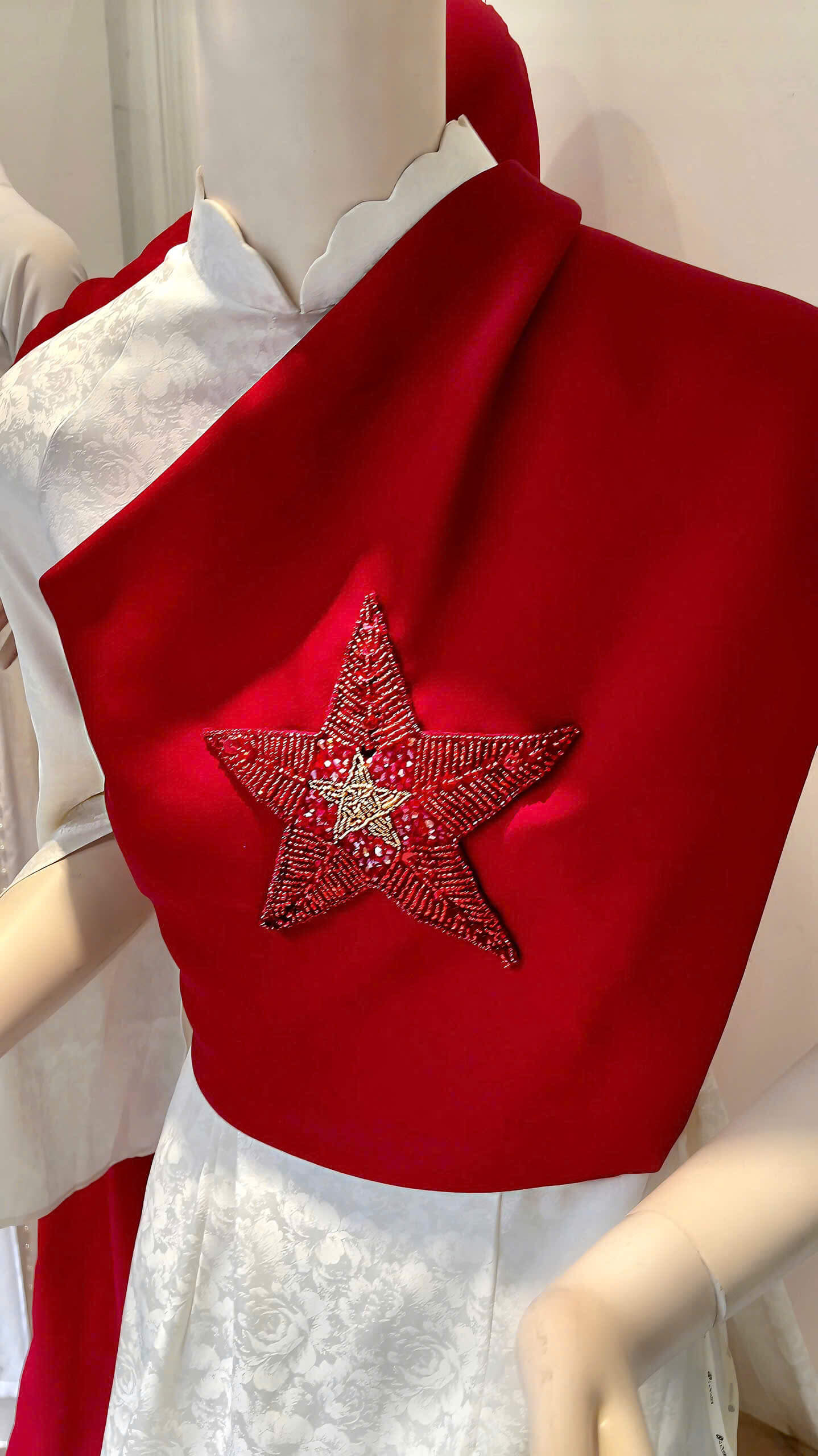 The Star of Vietnam6